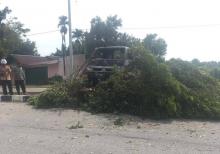 Brak!! Mobil Pikap Tabrak Pohon Hingga Tumbang di Karimun