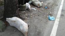 Warga Medan Mulai Diteror Bangkai Babi yang Dibuang di Pinggir Jalan