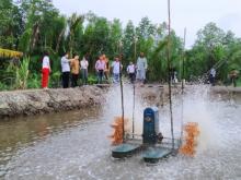 Alasan BUMD Lingga Jadikan Marok Tua Lokasi Tambak Udang Seluas 836 Hektare