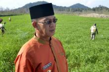 Ikuti Anjuran Mentan, Petani Lingga Percepat Penanaman Padi