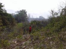Puntung Rokok Warga Bakar Hutan Seluas 3 Hektare di Sei Ladi Batam
