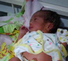 Bayi Mungil Dibuang, Ditemukan Warga Bengkong di Kandang Kucing
