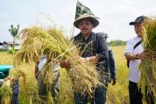 Produksi Meningkat, Kebutuhan Masyarakat Terjawab