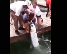 [VIDEO] Memancing Pakai Tangan, Seorang Pria Dibanting Ikan