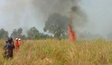 Kebakaran Lahan Nyaris Hanguskan Rumah Lidya 