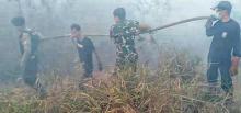 Lahan di Bintan Terbakar Lagi
