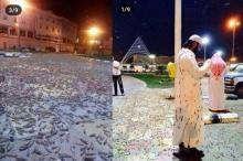 Invasi Jutaan Serangga Ganggu Ibadah Jemaah Indonesia di Makkah
