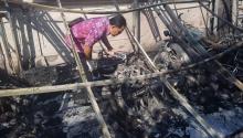 12 Moge Terbakar Akibat Korsleting, Pria di Bali Rugi Rp 3 Miliar