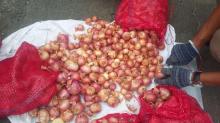 Misteri Bawang Merah Palsu di Indonesia, Adakah di Batam?