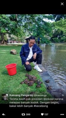Jokowi Lepas Kodok di Istana Bogor, Ini Komentar Kaesang yang Bikin Ngakak