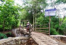 Viral, Rp 200 Juta Dianggarkan Hanya Bangun Jembatan Bambu