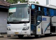 Damri Tambah Trayek ke Kawasan Wisata Lagoi, Ini Rutenya