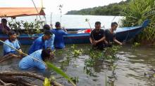 Lestarikan Mangrove, Laut Bukan Tong Sampah