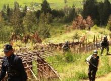 Polisi yang Hilang Saat Pilkada Papua DitemukanTewas