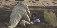 Video: Moment Shah Rukh Khan Benar-benar Murka di Padang Pasir