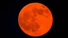Malam Ini Peristiwa Langka Gerhana Bulan Total, di Kepri Bisa Terlihat