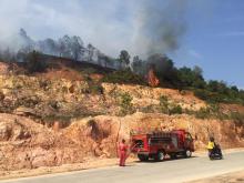 Damkar Kewalahan Padamkan Kebakaran Hutan di Area DAM Muka Kuning