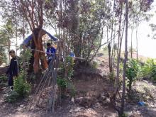 Dua Warga Ditangkap saat Patok Lahan Hutan Lindung Tiban Kampung 