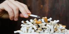 Fantastis! 241 Juta Batang Rokok Noncukai Racuni Warga Tanjungpinang