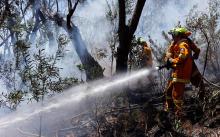 Salut, Personil Pemadam Kebakaran Hutan Tetap Bekerja Meski Puasa