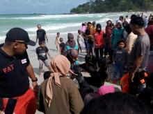 Seorang Pengunjung Pantai Trikora IV Tenggelam Terseret Arus