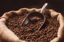 Gawat, Setengah Kopi Dunia Terancam Punah