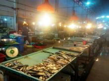 Pasokan Ikan di Batam Berkurang Picu Kenaikan Harga