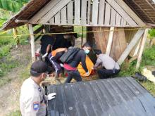 Warga di Kundur Kaget Pondok Dikerumuni Lalat, Ternyata Berisi Mayat
