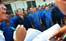 Imigrasi Dabo Catat Ada 11 TKA Asal Thailand di Lingga