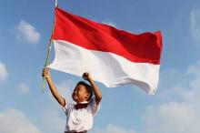 Tujuh Provinsi Terluas di RI, Papua Urutan Pertama