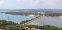 Tim Terpadu Bakal Basmi Peternakan Babi dan Ruli di Dam Duriangkang