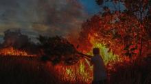 Gudang Tempurung Terbakar Nyaris Hanguskan Hutan Sekupang