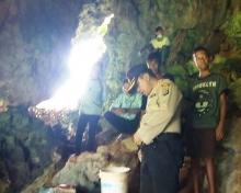 6 Upaya Penemuan Sarang Piton Pemakan Manusia di Sulawesi