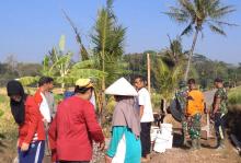 TNI Dan Warga Bersama Menyelesaikan Jalan Desa Bonomerto