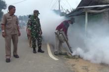 Dua Warga Ranggam Karimun Terserang DBD, Dinkes Diminta Lakukan Fogging