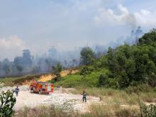 BREAKINGNEWS : Hutan Dekat Perumahan Pemko Terbakar