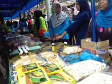 Pemuda dan Remaja Pulau Kasu Diajari Buat Blog Jualan