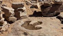 Jejak Kaki Diduga Dinosaurus Berusia 100 Juta Tahun Ditemukan di China