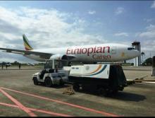 Jet Tempur TNI AU Paksa Pesawat Kargo Ethiopia Mendarat di Hang Nadim Batam