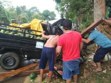 Warga Selamatkan Sopir Mobil Pikap Terjepit Usai Tabrak Pohon