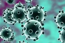 Cara Penyebaran Virus Corona Menurut WHO