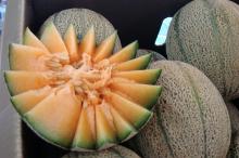 Rock Melon Australia Mengandung Bakteri, Tewaskan Tiga Orang
