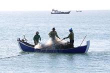 BMKG Imbau Nelayan Tradisional Waspada Gelombang Tinggi