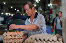 Harga Telur di Bintan Anjlok