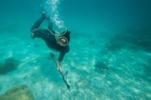 Apa Itu Keram Laut yang Dialami Penyelam di Natuna Hingga Lumpuh