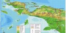 Papua Diguncang Gempa