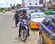 KPU Bintan Khawatir Ancaman Tikus dan Serangga