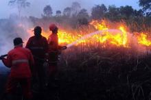 Kapolri Minta Pelaku Pembakaran Hutan Ditindak Tegas