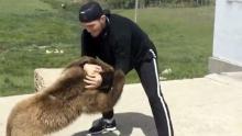 Khabib Vs Beruang, Siapa Pemenangnya?