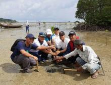 Mahasiswa UMRAH dan Banyan Tree Bintan Tanam 2.000 Bibit Mangrove